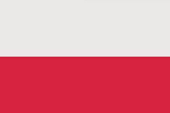 Polonya Vizesi Gerekli Evraklar
