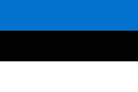 Estonya Vizesi Gerekli Evraklar
