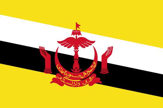 Brunei Vizesi Gerekli Evraklar