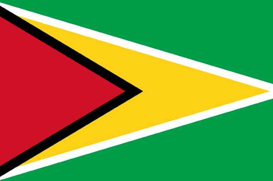 Guyana Vizesi Gerekli Evraklar