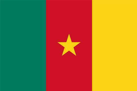 Kamerun Vizesi Gerekli Evraklar